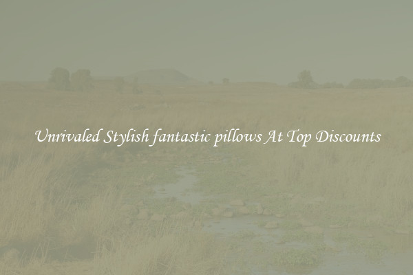 Unrivaled Stylish fantastic pillows At Top Discounts