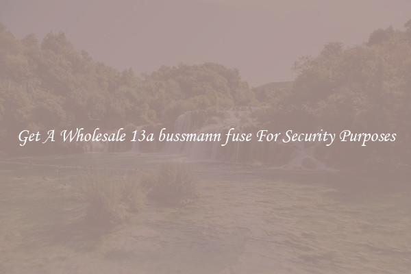Get A Wholesale 13a bussmann fuse For Security Purposes