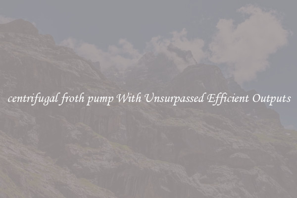 centrifugal froth pump With Unsurpassed Efficient Outputs