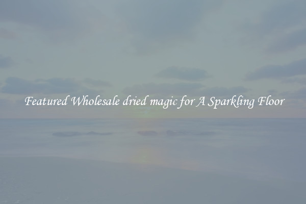 Featured Wholesale dried magic for A Sparkling Floor