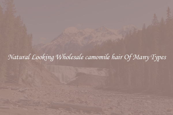 Natural Looking Wholesale camomile hair Of Many Types