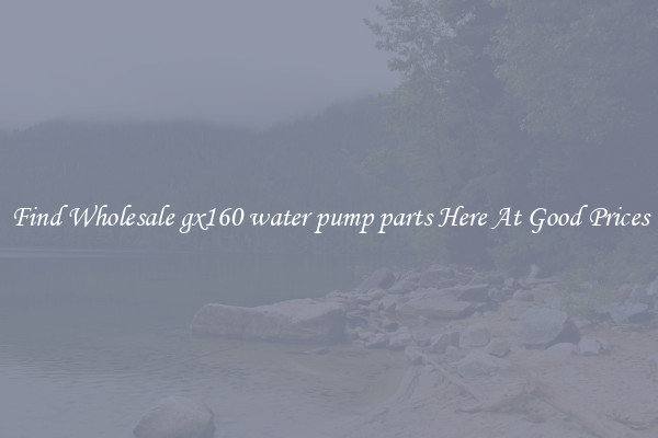 Find Wholesale gx160 water pump parts Here At Good Prices