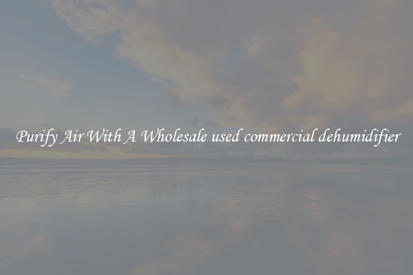 Purify Air With A Wholesale used commercial dehumidifier