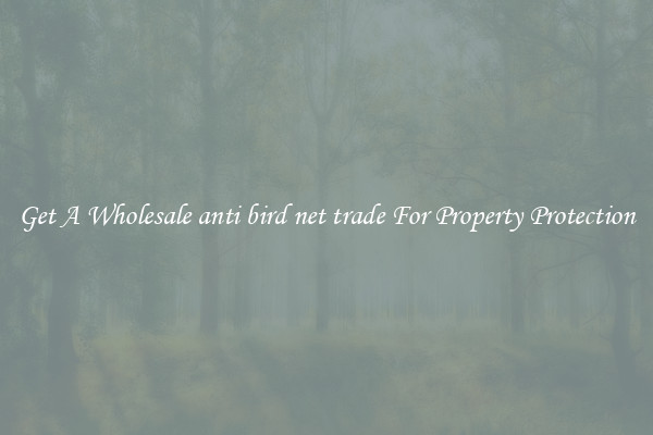 Get A Wholesale anti bird net trade For Property Protection
