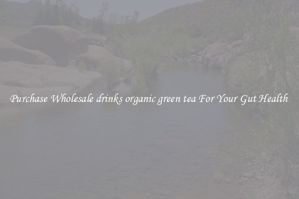 Purchase Wholesale drinks organic green tea For Your Gut Health 
