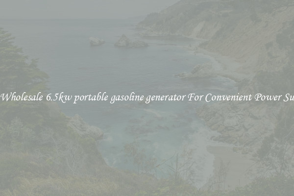 Get Wholesale 6.5kw portable gasoline generator For Convenient Power Supply