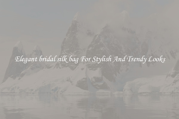 Elegant bridal silk bag For Stylish And Trendy Looks
