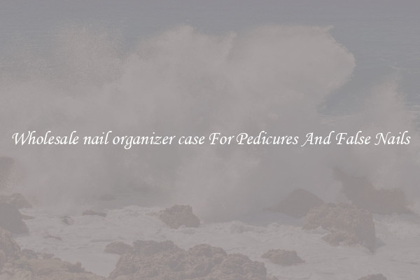 Wholesale nail organizer case For Pedicures And False Nails
