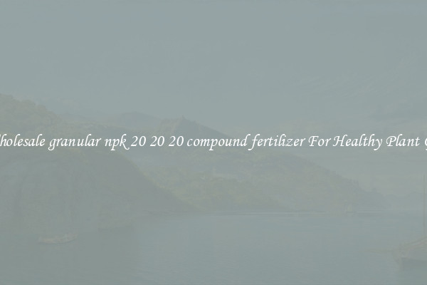 Get Wholesale granular npk 20 20 20 compound fertilizer For Healthy Plant Growth