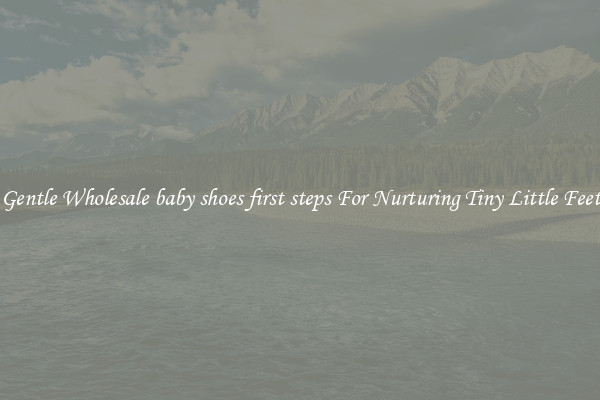 Gentle Wholesale baby shoes first steps For Nurturing Tiny Little Feet