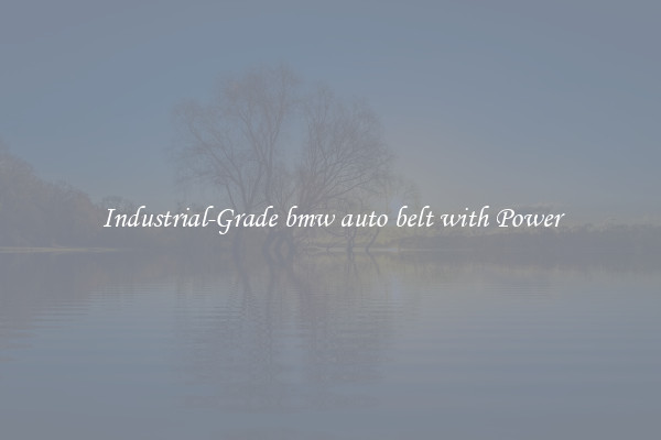 Industrial-Grade bmw auto belt with Power