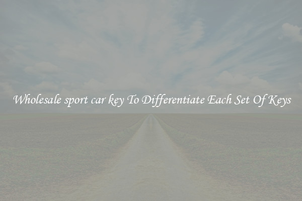 Wholesale sport car key To Differentiate Each Set Of Keys