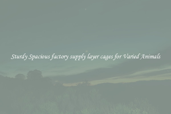 Sturdy Spacious factory supply layer cages for Varied Animals